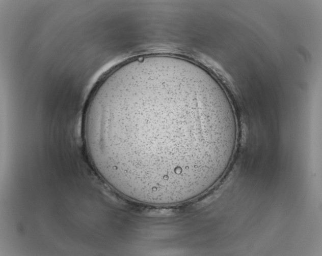 X0000113561174200910161450