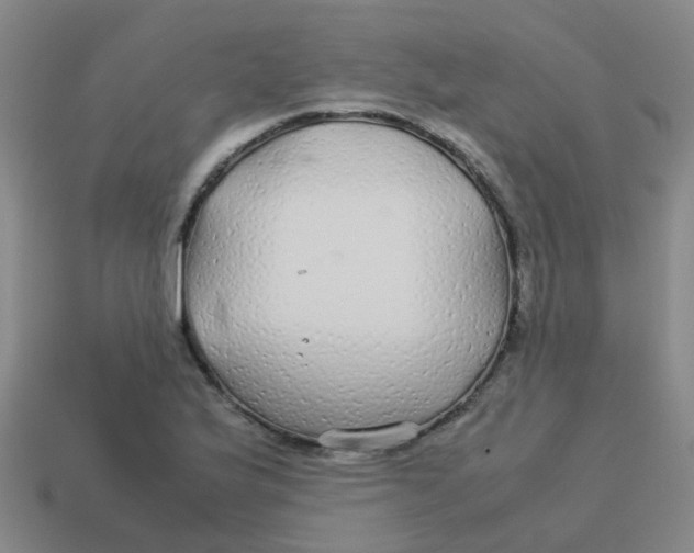 X0000113561175200910161450