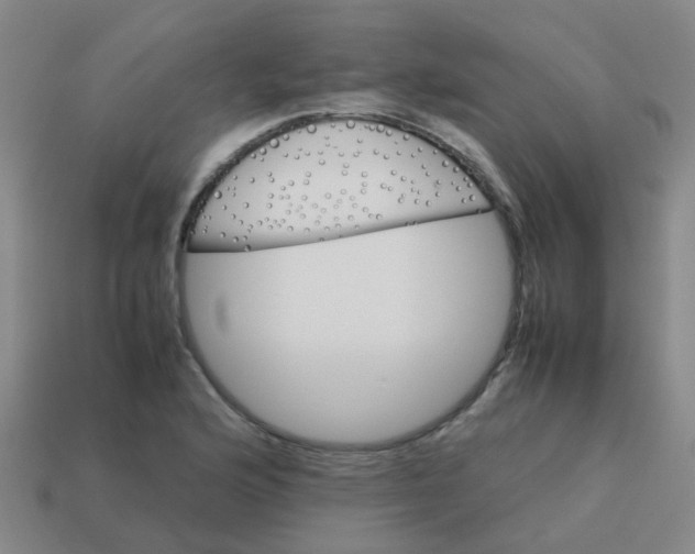 X0000113561176200910161450