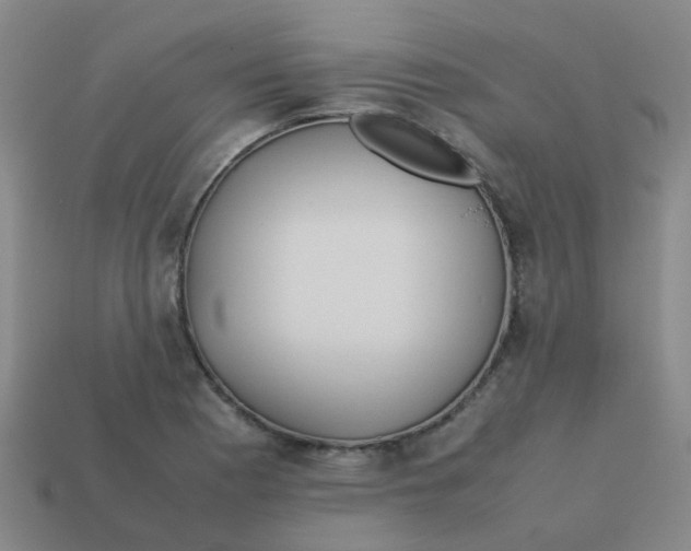 X0000113561177200910161450