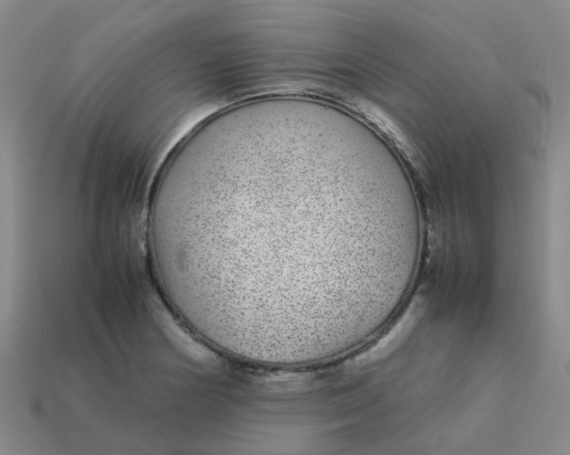 X0000113561178200910161450