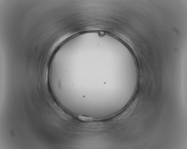 X0000113561179200910161450
