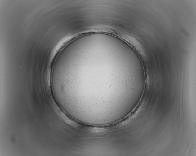X0000113561180200910161450
