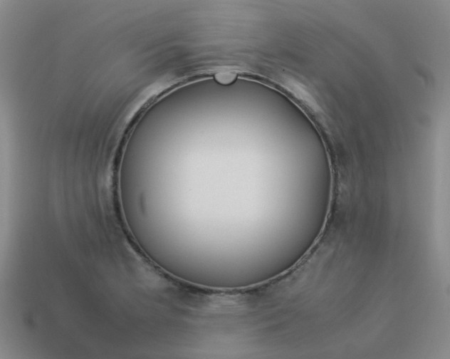 X0000113561181200910161450