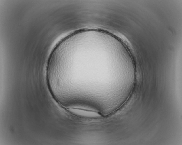 X0000113561183200910161450