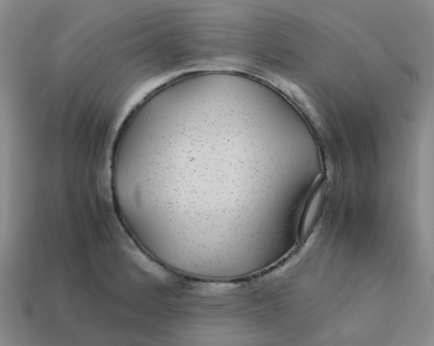 X0000113561184200910161450