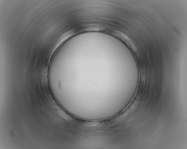 X0000113561186200910161450