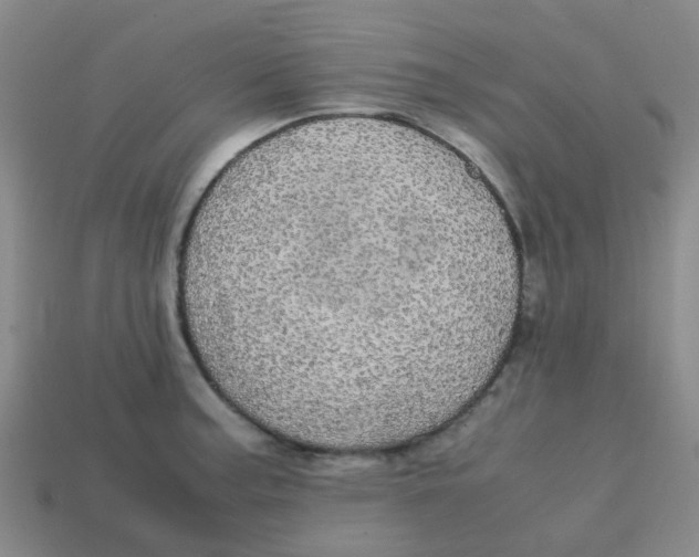 X0000113561187200910161449