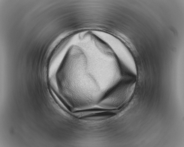 X0000113561188200910161449