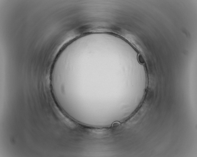 X0000113561189200910161449