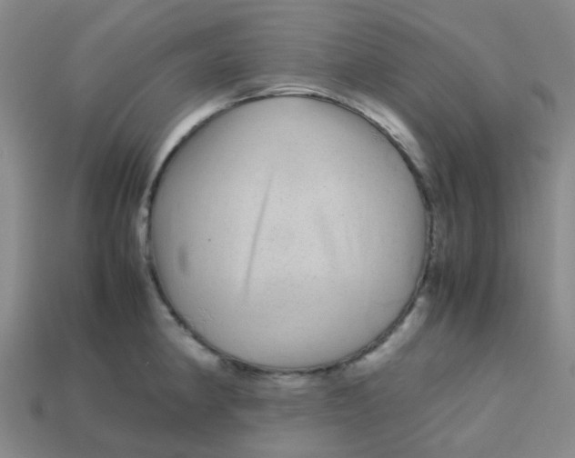 X0000113561190200910161449