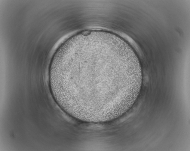 X0000113561191200910161449