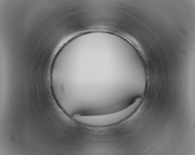 X0000113561192200910161449