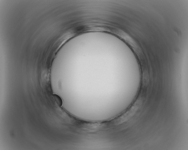 X0000113561193200910161449