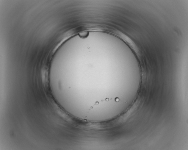 X0000113561194200910161449
