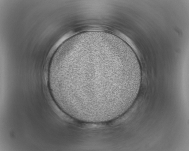 X0000113561195200910161449