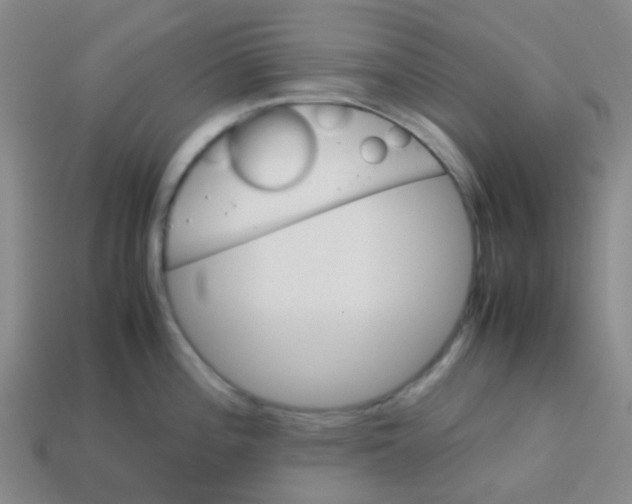 X0000113561196200910161449