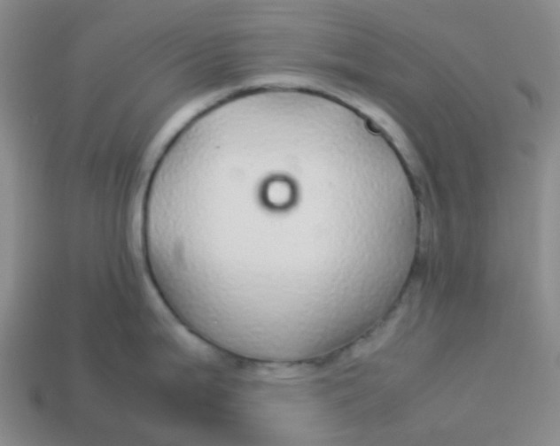 X0000113561199200910161449