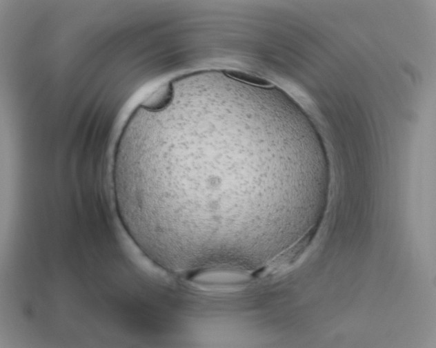 X0000113561200200910161449