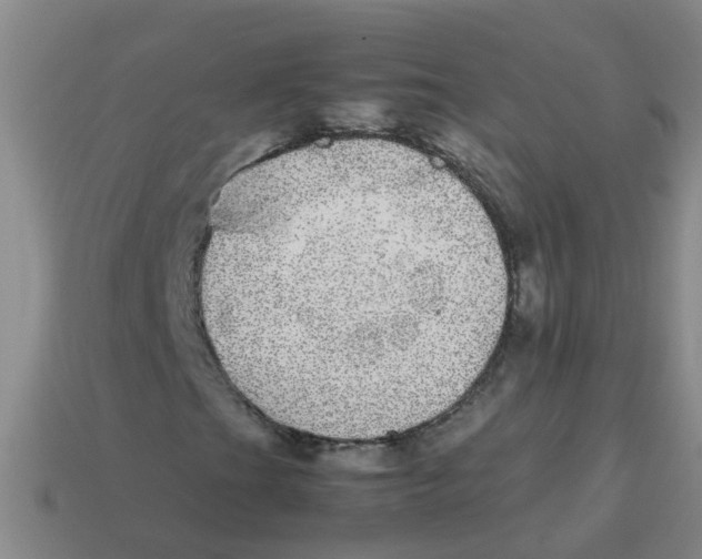 X0000113561201200910161449