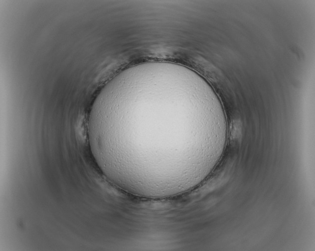 X0000113561202200910161449