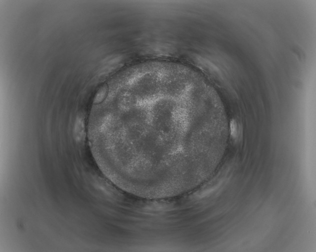 X0000113561203200910161449