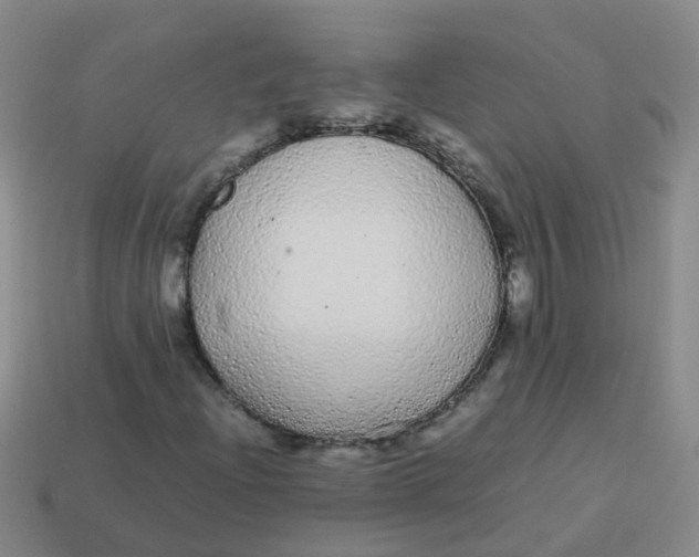 X0000113561204200910161449
