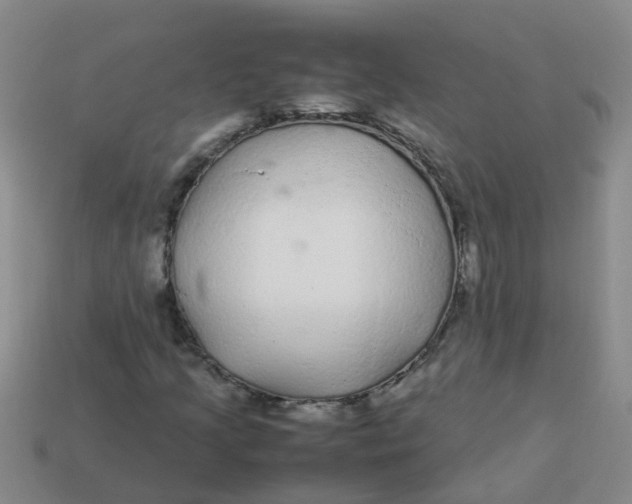X0000113561205200910161449