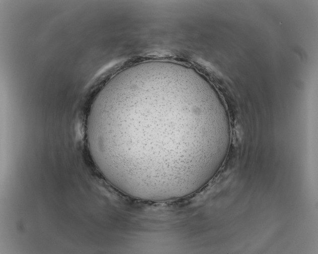 X0000113561206200910161449