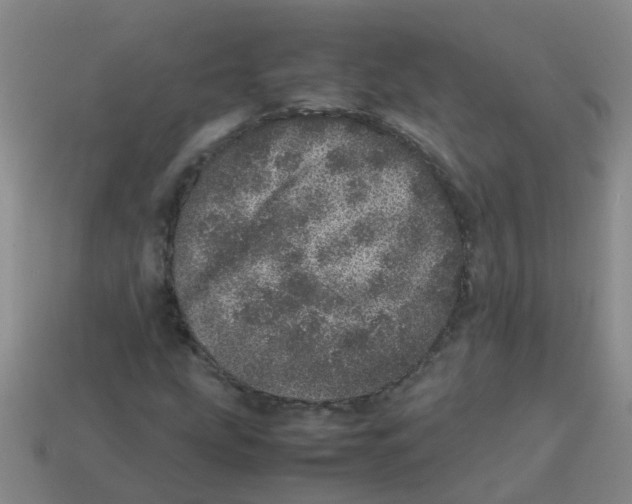 X0000113561207200910161449