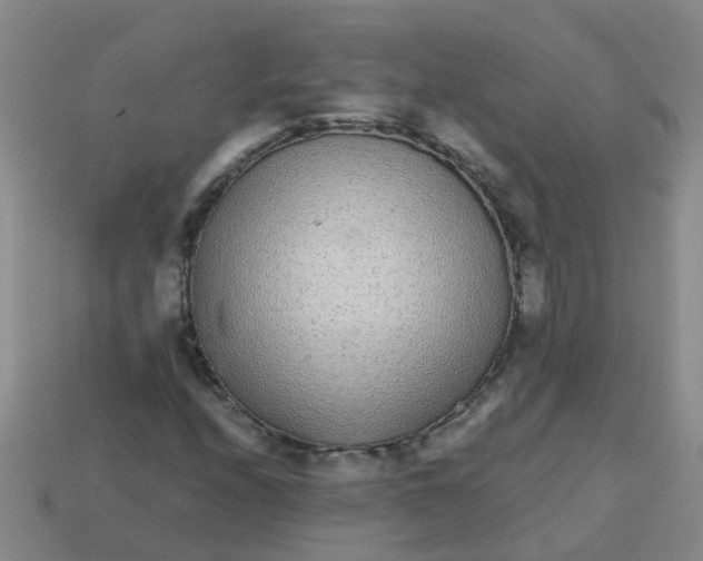 X0000113561208200910161449