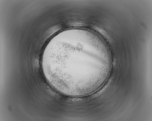 X0000113561209200910161449
