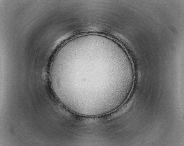 X0000113561210200910161449