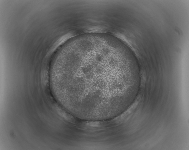 X0000113561211200910161449