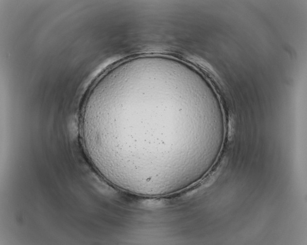 X0000113561212200910161449