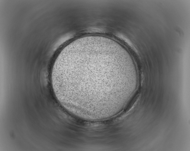 X0000113561213200910161449