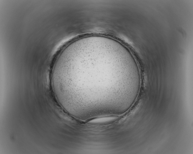 X0000113561214200910161449