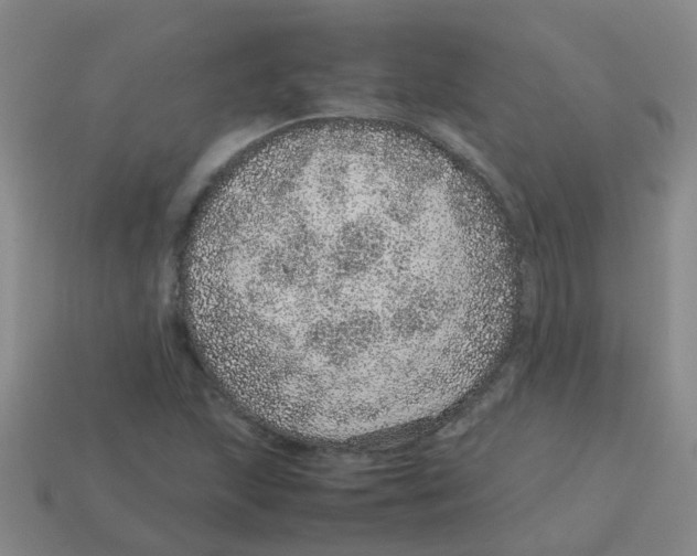 X0000113561215200910161449