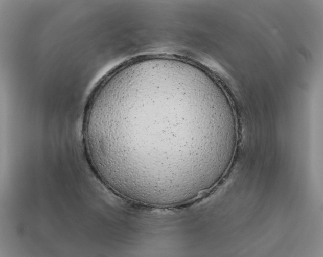 X0000113561216200910161449