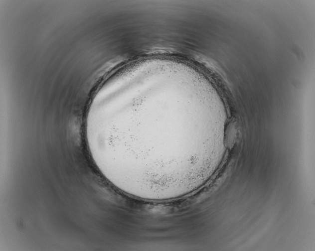X0000113561217200910161449