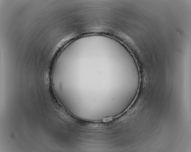 X0000113561218200910161449