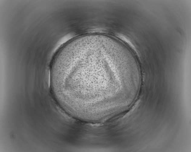 X0000113561219200910161449