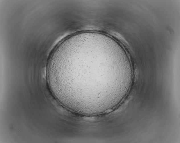 X0000113561220200910161449