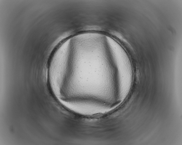 X0000113561221200910161449
