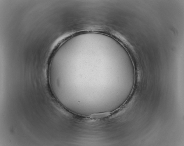 X0000113561222200910161449