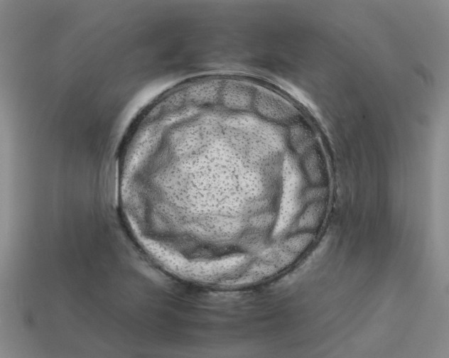 X0000113561223200910161449