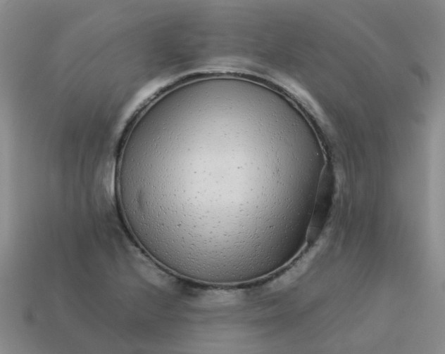 X0000113561224200910161449