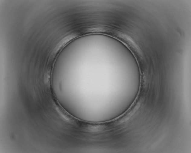 X0000113561225200910161449