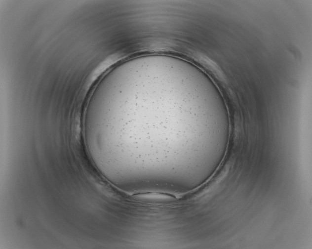X0000113561226200910161449