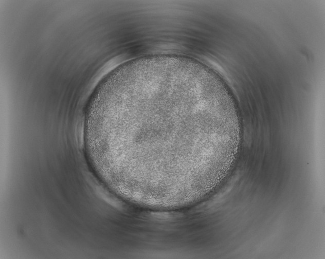 X0000113561227200910161449
